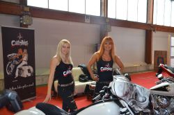 _ckfinder_userfiles_images_novice_motobum2012_DSC_3541.JPG