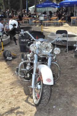 _ckfinder_userfiles_images_novice_twinhorn2011_DSC_0348.JPG