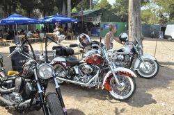 _ckfinder_userfiles_images_novice_twinhorn2011_DSC_0349.JPG