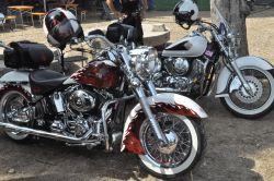 _ckfinder_userfiles_images_novice_twinhorn2011_DSC_0352.JPG