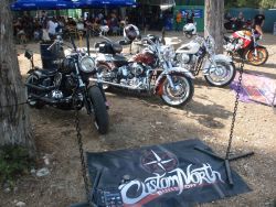 _ckfinder_userfiles_images_novice_twinhorn2011_P9035077.JPG