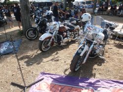 _ckfinder_userfiles_images_novice_twinhorn2011_P9035078.JPG