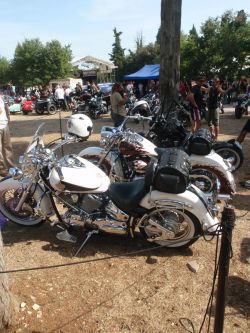 _ckfinder_userfiles_images_novice_twinhorn2011_P9035079.JPG