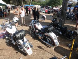 _ckfinder_userfiles_images_novice_twinhorn2011_P9035080.JPG
