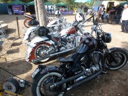 _ckfinder_userfiles_images_novice_twinhorn2011_P9035083.JPG