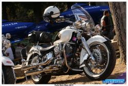 _ckfinder_userfiles_images_novice_twinhorn2011_Twin_Horn_Pula_2011_(372).jpg